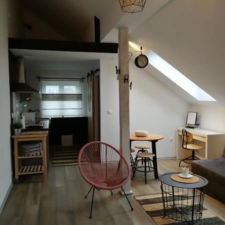 Appartement Studio Apartman Hana à Drežnik Grad Extérieur photo