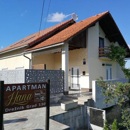 Appartement Studio Apartman Hana à Drežnik Grad Extérieur photo