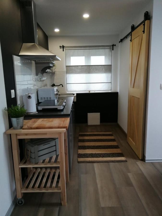 Appartement Studio Apartman Hana à Drežnik Grad Extérieur photo