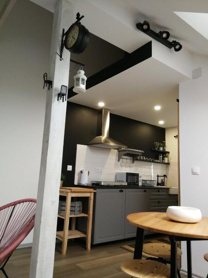 Appartement Studio Apartman Hana à Drežnik Grad Extérieur photo