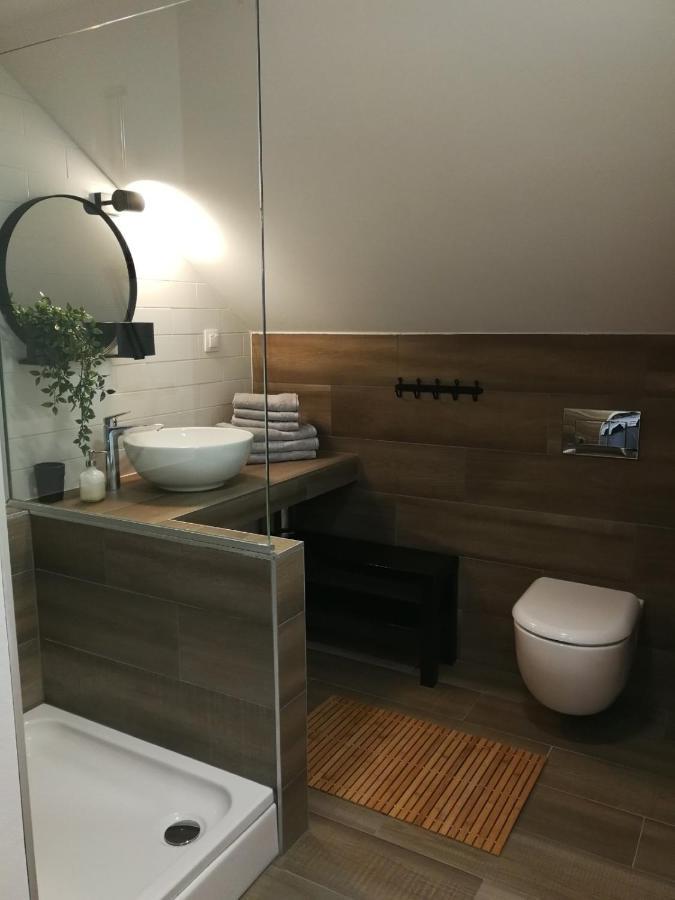 Appartement Studio Apartman Hana à Drežnik Grad Extérieur photo