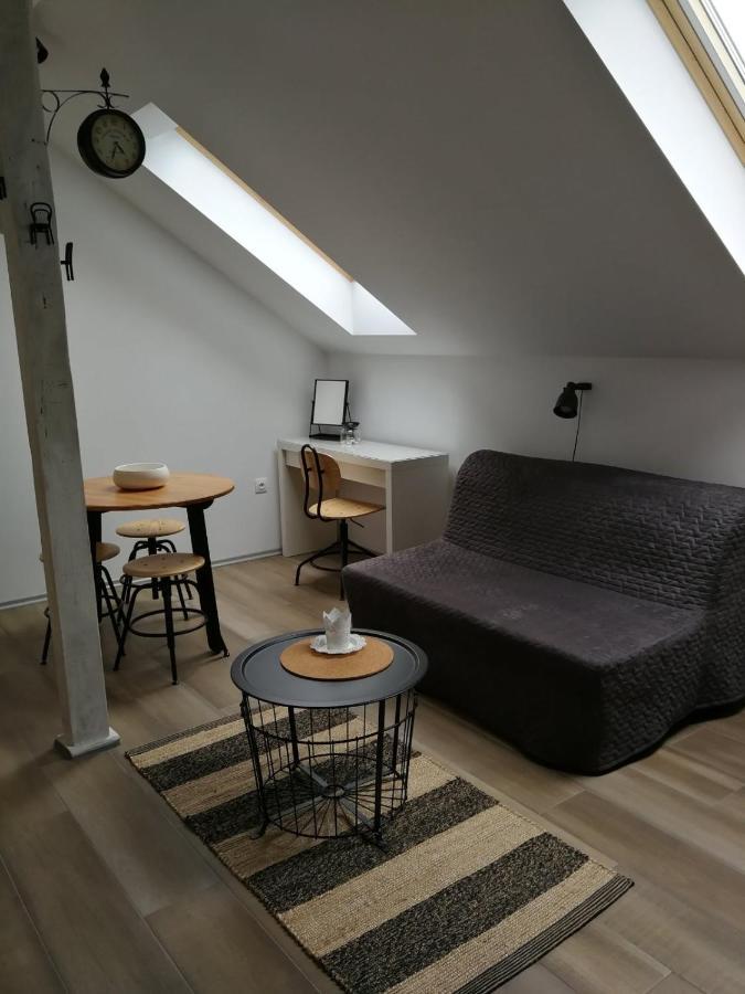Appartement Studio Apartman Hana à Drežnik Grad Extérieur photo