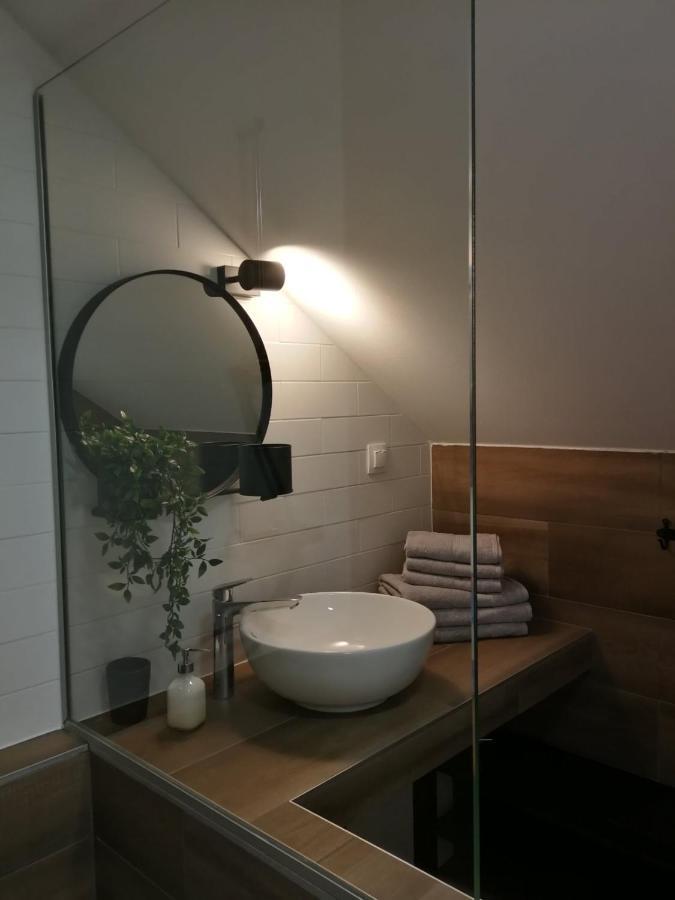 Appartement Studio Apartman Hana à Drežnik Grad Extérieur photo