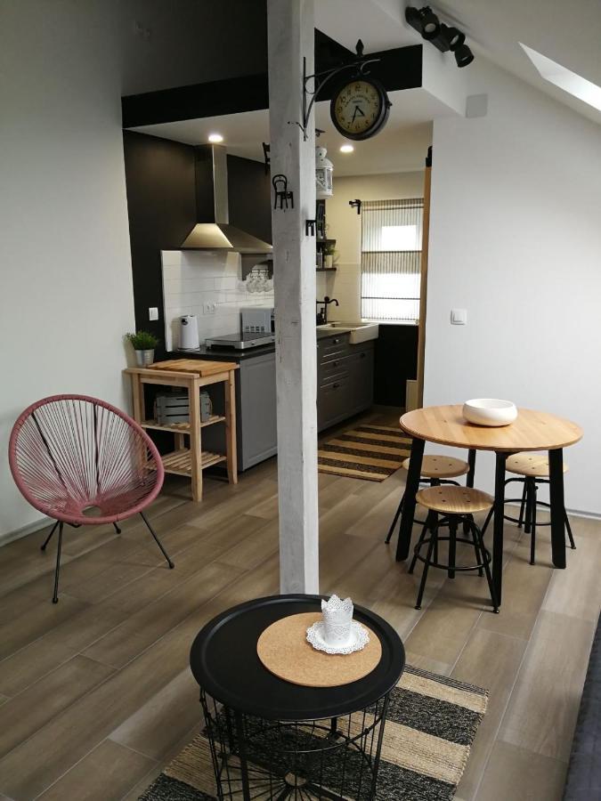 Appartement Studio Apartman Hana à Drežnik Grad Extérieur photo