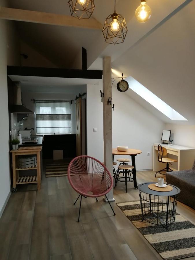 Appartement Studio Apartman Hana à Drežnik Grad Extérieur photo