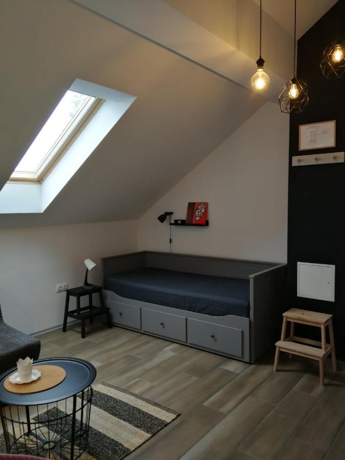 Appartement Studio Apartman Hana à Drežnik Grad Extérieur photo