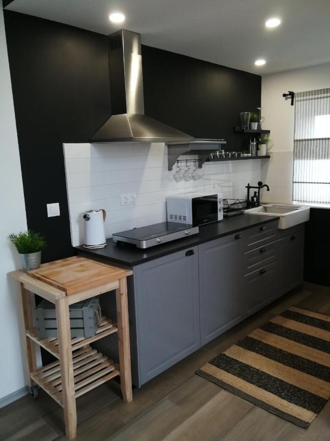 Appartement Studio Apartman Hana à Drežnik Grad Extérieur photo