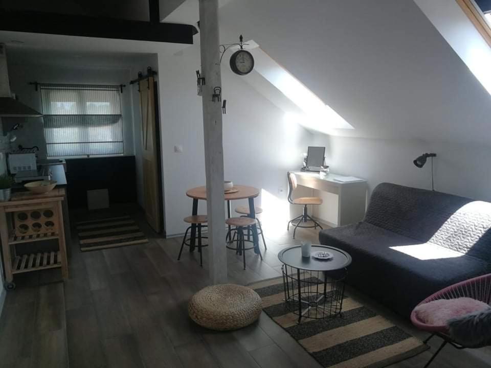 Appartement Studio Apartman Hana à Drežnik Grad Extérieur photo